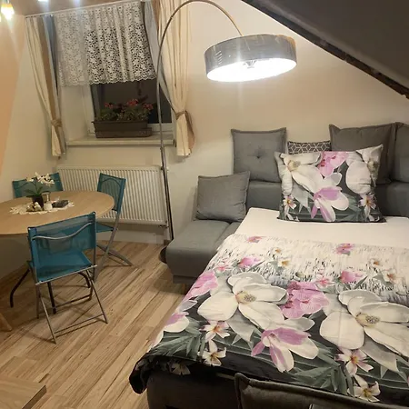 Kvetinove Quarto em Acomodações Particulares *