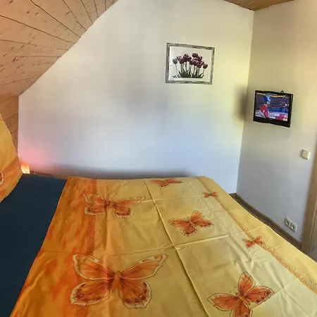 Kvetinove Horní Planá