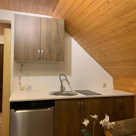 Kvetinove Kwatera prywatna Horní Planá